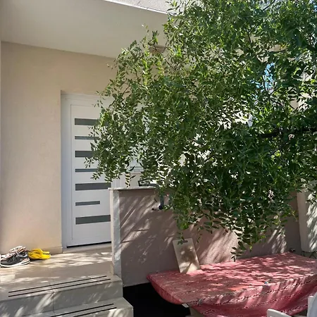 Apartment Simica Murter